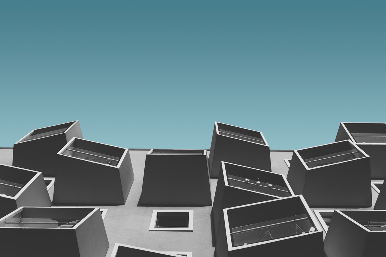 sequoia_placeholder